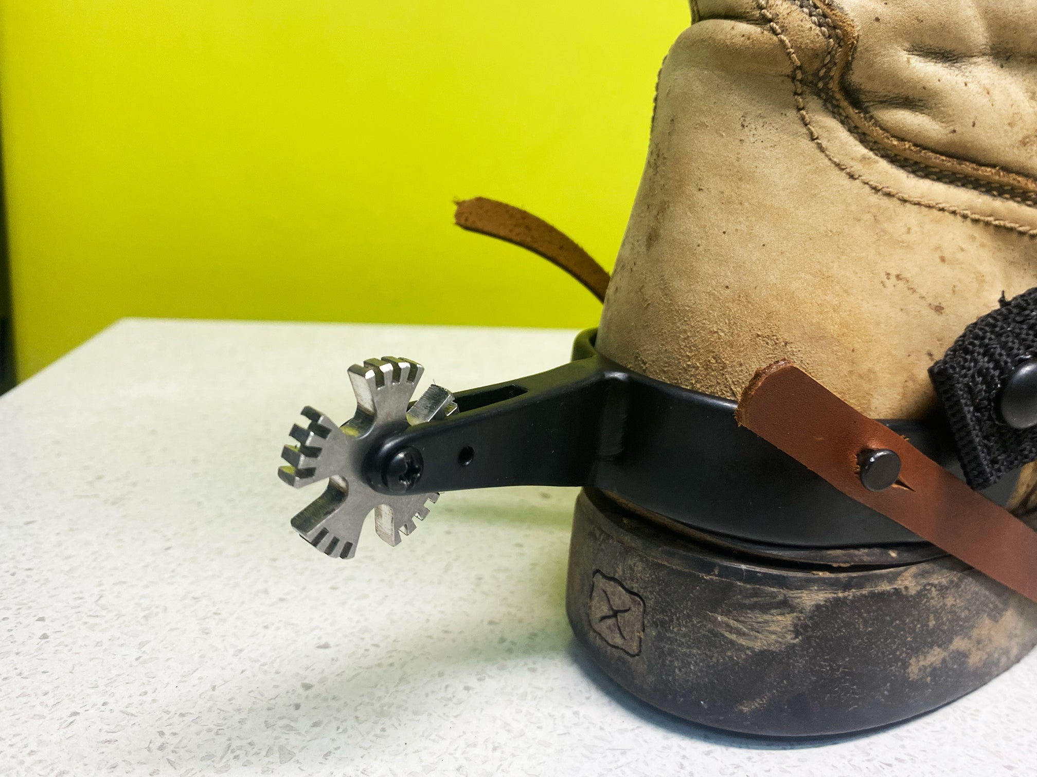 WDS Pro Rodeo Bull Riding Spur Rowels