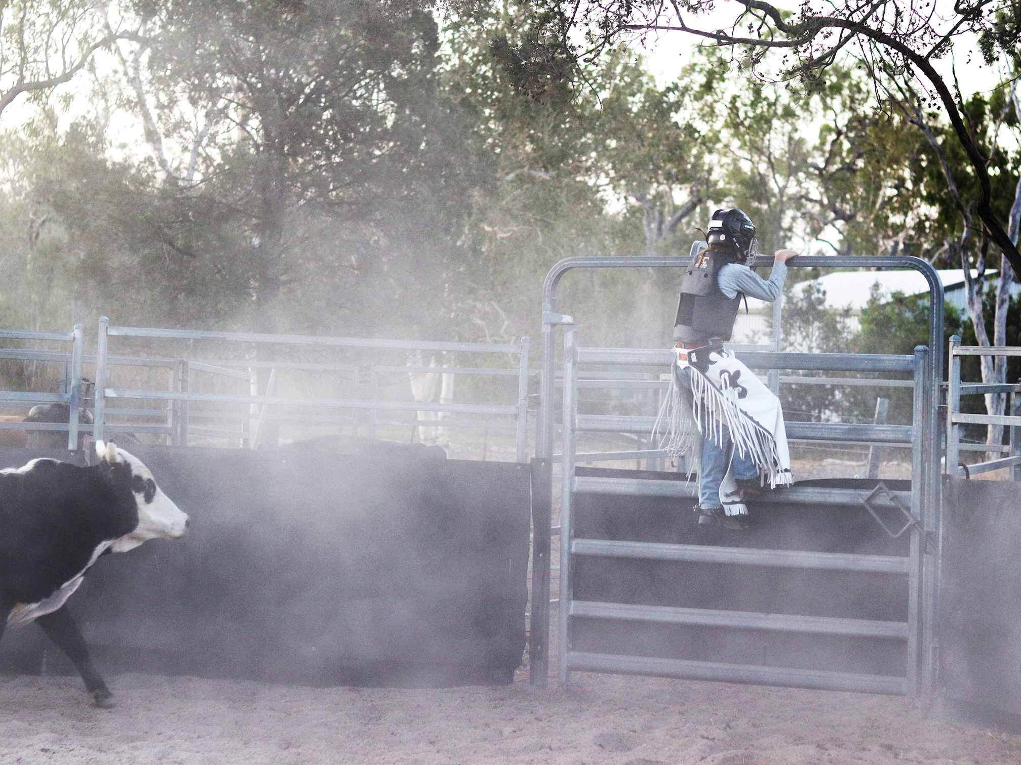 WDS Pro Rodeo Chaps